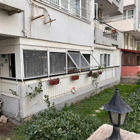 Palmiye *